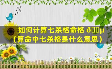 如何计算七杀格命格 🌵 （算命中七杀格是什么意思）